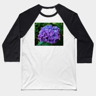 Purple Hydrangea Baseball T-Shirt